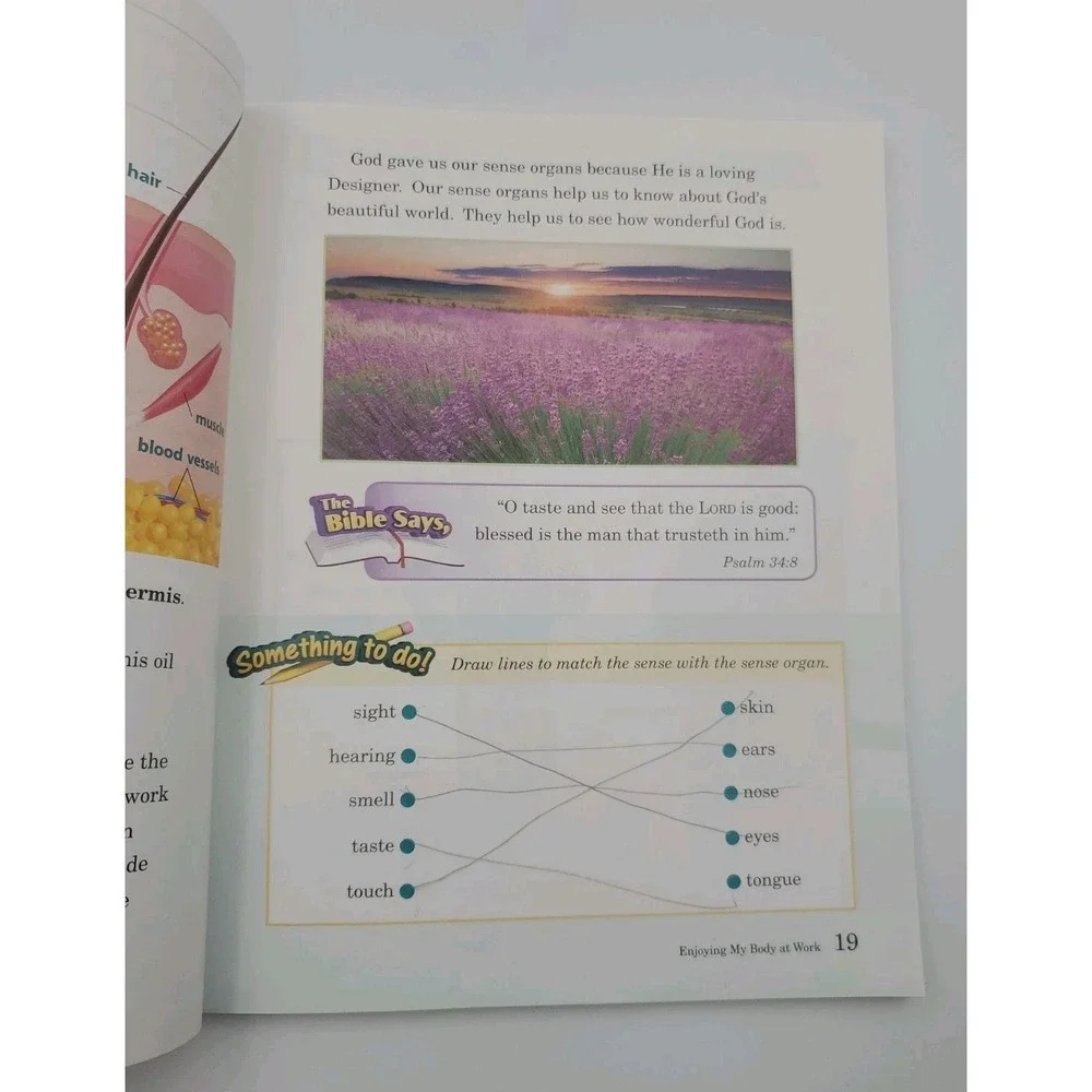 Abeka Enjoying God's World Science Reader 5th Edition Grade 2 Science Textbook